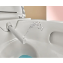 Product alternative photo