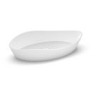 Product alternative photo