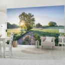 KOMAR Stefan Hefele A New Day in Paradise Photo mural Non-woven  400x250cm, 10m2 (4 paneles) SH084-VD4