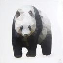 Photoglass Panda 50x50cm (189301)(70052011)