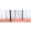 Photoglass Forest Full of Fog 50x112.5cm (189315)(70192014)