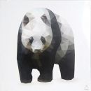 Fotoglezna Panda 50x50cm (189301)(70052011)