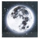 Glezna ar LED 30x30cm Earth-Moon (454062)(483422)