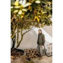 Product alternative photo