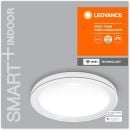 Product alternative photo