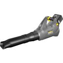 Product alternative photo