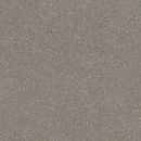 Linolejs Strong Plus 900D 4m, 2mm, 32/41kl.