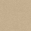 Linolejs Strong Plus Scala 239L 3m, 2.5mm