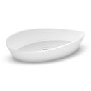 Product alternative photo