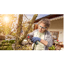 Product alternative photo