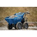 Product alternative photo