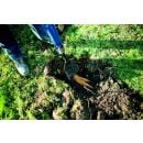 Product alternative photo