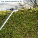 Product alternative photo