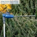 Product alternative photo