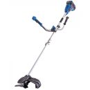 Product alternative photo