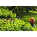 Product alternative photo