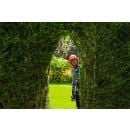 Product alternative photo