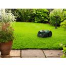 Product alternative photo