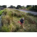 Product alternative photo