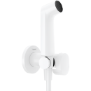 Product alternative photo