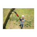 Product alternative photo