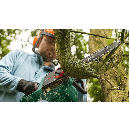 Product alternative photo