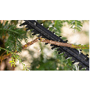 Product alternative photo