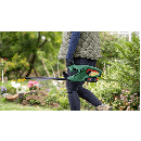 Product alternative photo