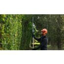 Product alternative photo