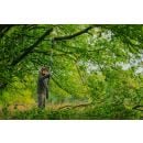 Product alternative photo