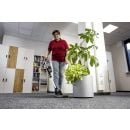 Product alternative photo