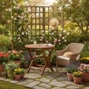 Product alternative photo