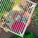 Product alternative photo