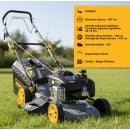 Product alternative photo