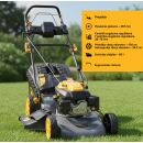 Product alternative photo