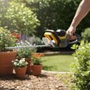 Product alternative photo