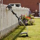 Product alternative photo