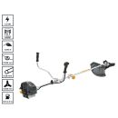 Product alternative photo