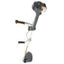 Product alternative photo