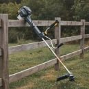 Product alternative photo