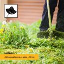 Product alternative photo