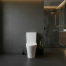 Product alternative photo