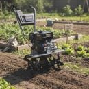 Product alternative photo