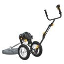 Product alternative photo