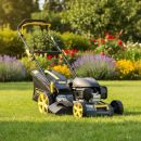 Product alternative photo