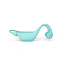 Product alternative photo