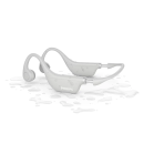 Product alternative photo