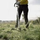 Product alternative photo