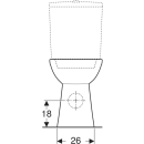 Product alternative photo