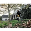 Product alternative photo